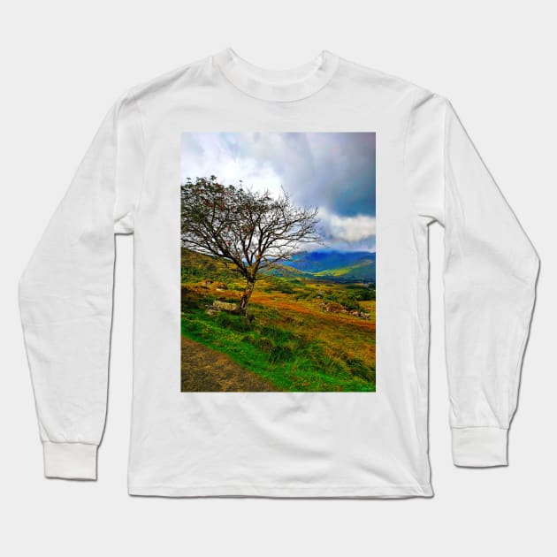 The Ladies View, Ring of Kerry Long Sleeve T-Shirt by BrianPShaw